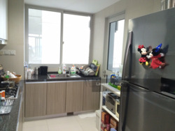 The Metropolitan Condominium (D3), Condominium #238586471